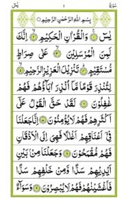 Surah Yaseen - QURAN411