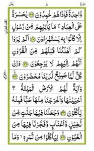 Surah Yaseen - QURAN411