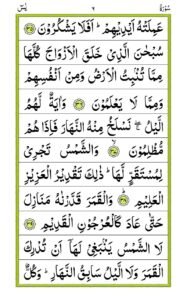 Surah Yaseen - QURAN411